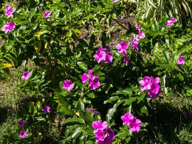 Pousada Buzios Garden Luaran gambar